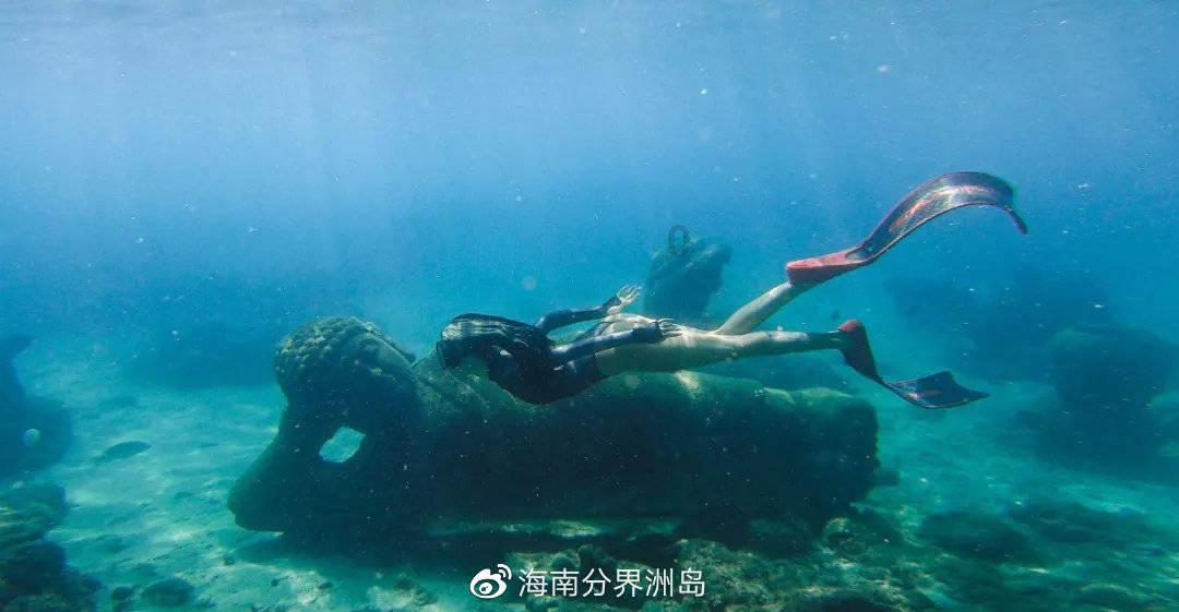 蓝狐视频